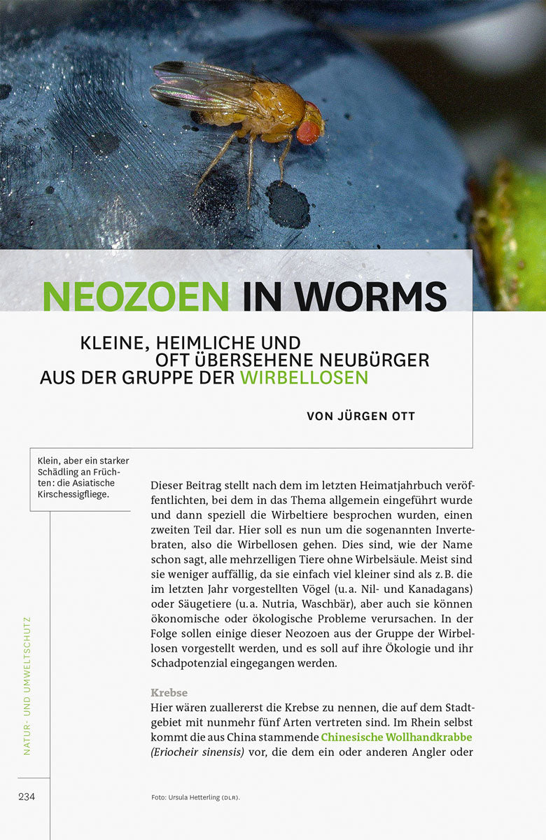 Heimatjahrbuch Worms 2021