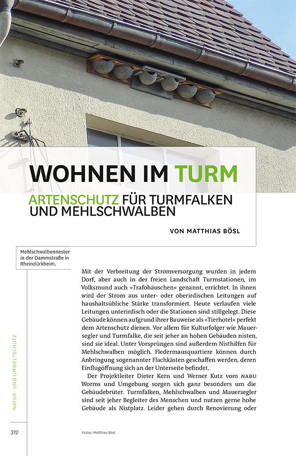 Worms 2015 - Heimatjahrbuch für die Stadt Worms